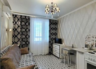 Квартира в аренду студия, 25 м2, Анапа, улица Ленина, 173Ак4, ЖК Горизонт