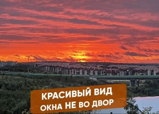 1-ком. квартира в аренду, 38 м2, село Немчиновка, Советский проспект, 98