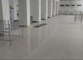 Сдаю в аренду помещение свободного назначения, 818 м2, Пермский край, Юбилейная улица, 2/1