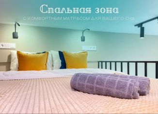 Сдается квартира студия, 27 м2, Москва, Сельскохозяйственная улица, 17к4, район Ростокино