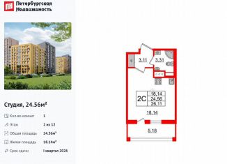 Квартира на продажу студия, 24.6 м2, Санкт-Петербург, Приморский район