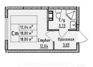 Продается квартира студия, 19 м2, деревня Малое Верево