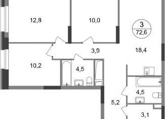 Продается 3-ком. квартира, 72.6 м2, Московский, ЖК Первый Московский