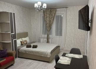 Квартира в аренду студия, 28 м2, Зеленодольск, проспект Строителей, 8