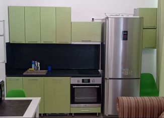 Сдается квартира студия, 24.3 м2, Мурино, Ручьёвский проспект, 15, ЖК Айди Мурино