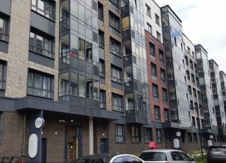 Продаю 1-комнатную квартиру, 39 м2, Санкт-Петербург, Суздальское шоссе, 18к3, метро Парнас