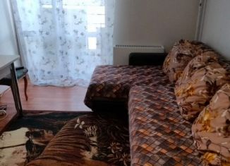 Сдам в аренду квартиру студию, 20 м2, Новоалтайск, Прудская улица, 40