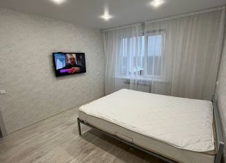 Сдача в аренду 1-ком. квартиры, 31 м2, Сызрань, проспект Гагарина, 41