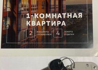 Продам 1-комнатную квартиру, 42 м2, Владимир, улица Горького, 133А, ЖК Содышка