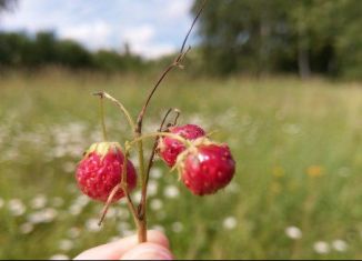 Земельный участок на продажу, 15 сот., село Иваньково, 70К-414