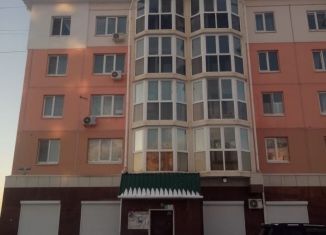 Сдам в аренду однокомнатную квартиру, 34 м2, Артём, улица Бабушкина, 32