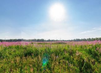 Продажа земельного участка, 100 сот., село Щербак