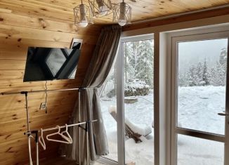 Сдам в аренду дом, 46 м2, село Артыбаш, улица Энергетиков, 37