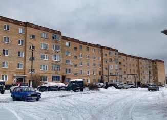 Сдается двухкомнатная квартира, 50 м2, Рошаль, улица Химиков, 12А