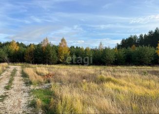 Продажа земельного участка, 12 сот., село Шуран