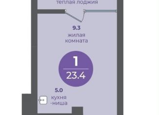 Продается квартира студия, 23.6 м2, Красноярский край, улица Кутузова, 1