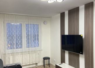 Сдается 1-ком. квартира, 30.3 м2, Санкт-Петербург, Чарушинская улица, 24к1