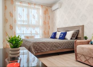 Сдается в аренду однокомнатная квартира, 45 м2, Краснодар, Зиповская улица, 36, микрорайон ЗИП