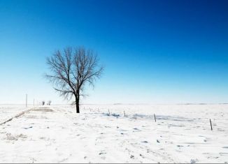 Продам земельный участок, 15 сот., село Зелёное, улица Мичурина