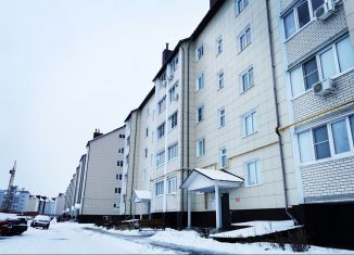 Продается однокомнатная квартира, 29 м2, деревня Крутые Выселки, улица Герасимова, 2А