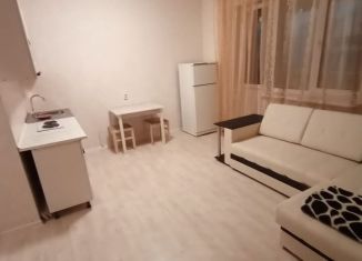 Сдаю в аренду квартиру студию, 29 м2, Санкт-Петербург, проспект Королёва, 71к1, ЖК Каменка