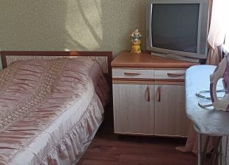 Сдаю в аренду 1-комнатную квартиру, 31.1 м2, Новосибирская область, Элеваторская улица, 58