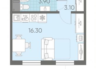 Продается квартира студия, 23.3 м2, Санкт-Петербург, Дворцовая площадь, метро Адмиралтейская