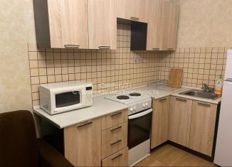 Продам квартиру студию, 18.9 м2, рабочий посёлок Лопатино, Сухановская улица, 15, ЖК Государев Дом