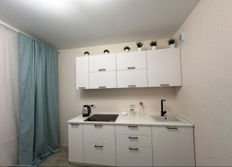 Продажа 1-комнатной квартиры, 32 м2, Бор, улица Максимова, 1