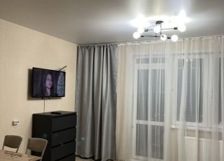 Сдам в аренду квартиру студию, 31 м2, Красноярский край, улица Петра Подзолкова, 24