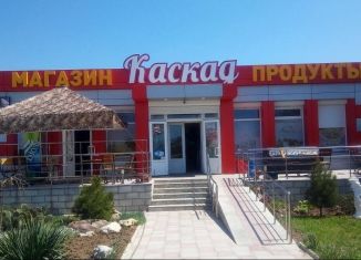 Продается торговая площадь, 90 м2, поселок городского типа Николаевка, улица Октябрьской Революции, 1А