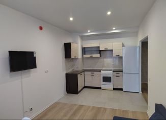 2-комнатная квартира в аренду, 45 м2, Люберцы, улица 8 Марта, 12к1, ЖК Люберцы Парк