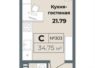 Продается квартира студия, 34.8 м2, Санкт-Петербург, муниципальный округ Владимирский