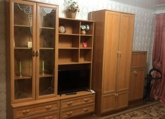 Аренда двухкомнатной квартиры, 47 м2, Шадринск, улица Ефремова, 22