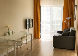 1-комнатная квартира в аренду, 32 м2, Псков, улица Ижорского Батальона, 13