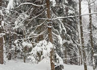 Сдам в аренду дом, 30 м2, село Архыз