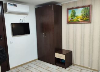 Продается квартира студия, 20 м2, посёлок городского типа Сириус, Воскресенская улица, 8