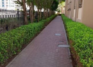 Продается участок, 20 сот., село Толстой-Юрт