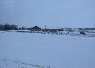 Продается земельный участок, 220 сот., деревня Старые Киешки, улица Гафури, 19