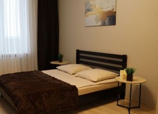 Сдача в аренду 1-ком. квартиры, 40 м2, Брянск, улица Челюскинцев, 3