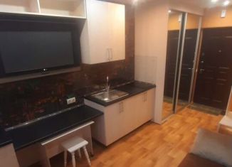 Сдаю в аренду квартиру студию, 27 м2, Рязань, улица Стройкова, 51