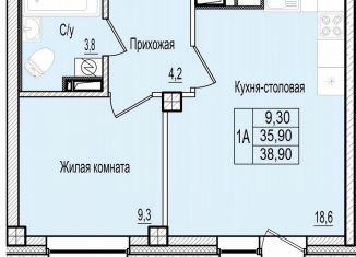 1-ком. квартира на продажу, 38.9 м2, Псковская область