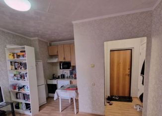 Продам квартиру студию, 17.4 м2, Москва, Ткацкая улица, 44, район Соколиная Гора