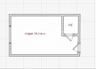 Продаю квартиру студию, 16.3 м2, Москва, Каширское шоссе, 142к1, район Орехово-Борисово Южное