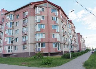 Сдача в аренду 1-комнатной квартиры, 44.2 м2, Новгородская область, Озёрная улица, 12