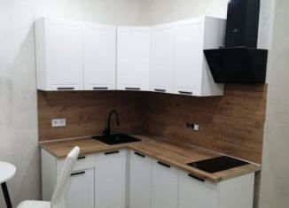 Сдам в аренду квартиру студию, 24 м2, Сыктывкар, улица Карла Маркса, 131