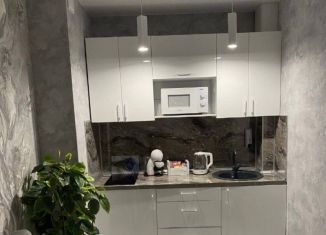 Сдаю в аренду квартиру студию, 24 м2, Иркутск, Советская улица, 96