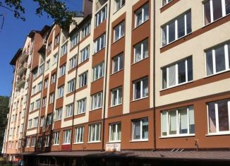 Сдача в аренду 1-ком. квартиры, 36 м2, Калининград, улица Докука, 27А, Центральный район