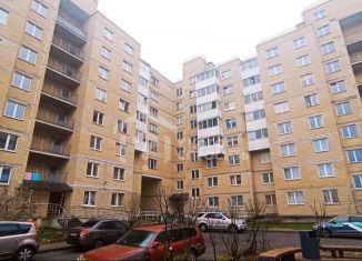 Продажа 1-комнатной квартиры, 31.6 м2, Красное Село, Театральная улица, 3