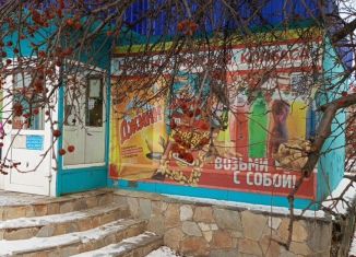 Продажа помещения свободного назначения, 50.1 м2, Кыштым, улица Чернышевского, 4